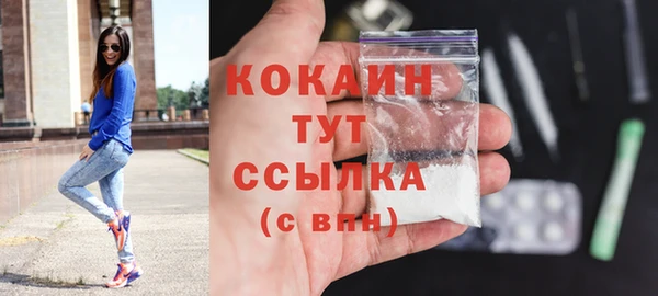 гидра Тавда