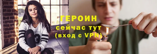 гидра Тавда