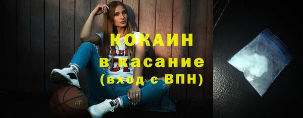 гидра Тавда