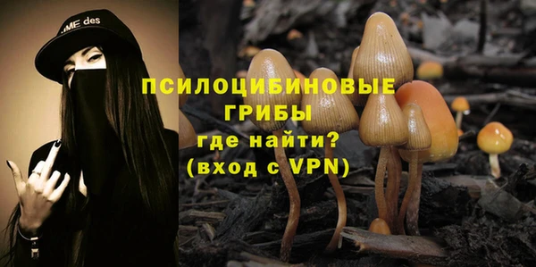 экстази Тайга